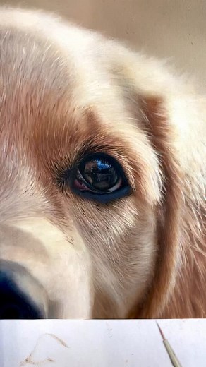 7.5K reactions · 225 shares | Beautiful reflective eyes to paint!  #oilpainting #realism #animalart #portrait #artist #art #oilpaint #painting #animalartist #dog #artwork #paint | Artist Charlotte Gridley | Facebook