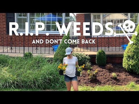 Easiest Way To Get Rid Of Weeds! 🌾// Cheap💰 & Fast🏃‍♀️💨 // Crystal Does