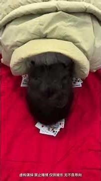 Couples' Fun Warm-Up Games