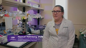 5.7K views · 40 reactions | LSU Vet Med PhD student Dr. Hannah Holmberg studies how our cells repair UV-induced DNA damage, uncovering the genetic mechanisms that protect us from disease—one example of the cutting-edge research training offered through our graduate programs. Biomedical research at LSU Vet Med drives discovery that benefits both animal and human health--in Louisiana and around the world. #WeDiscover #WBTTW #ScholarshipFirst | LSU School of Veterinary Medicine | Facebook