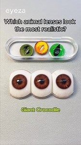 Which animal contacts look the most realistic? 🐍🦉 Perfect for cosplay & Halloween! 🎃✨ #cosplylenses #eyezalens #Eyeza | Eyeza Lenses