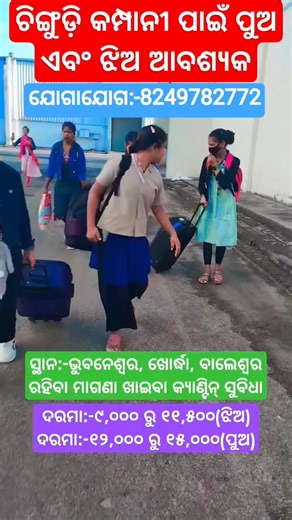 Male and Female Candidates Urgently Required in Prawn Processing Company #trending #shorts #reels