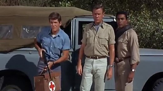 Daktari - Serie de TV ( 1966 - 1969 )