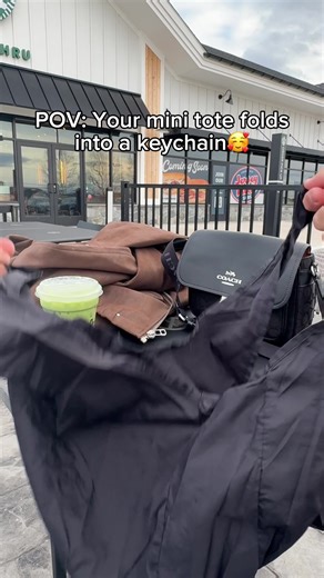 Discover the Perfect Mini Tote Bag for Your On-the-Go Needs