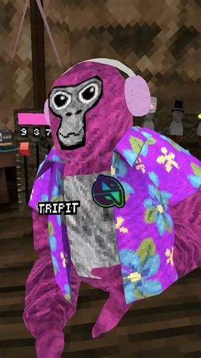 I Just Got AA! #gorillatag #vr #shorts