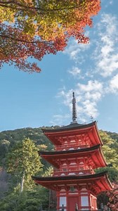 Kyoto Japan Time Lapse Koyasunoto Pagoda Stock Footage Video (100% Royalty-free) 3796012815 | Shutterstock
