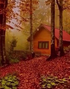 Autumn | Relaxing Mood