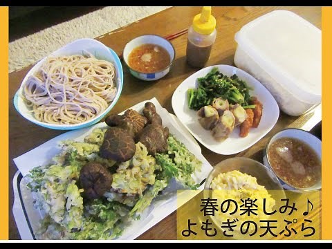 春の楽しみ♪よもぎの天ぷら