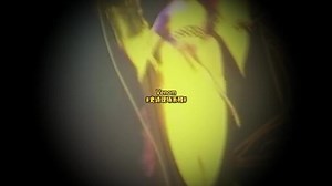 【4K修复】#史诗级现场#venom黑金一代目 《Witching Hour（live）》极端金属王朝-黑金老祖！撒旦原型，演唱会现场”自焚“玩家#黑金 #毒液venom #摇滚现场