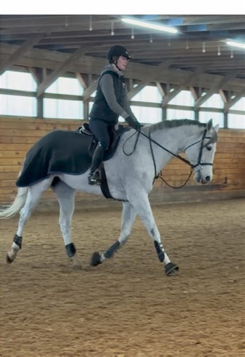 perfect venus and russel in our dressage clinic, always impressed by these two horses🤩