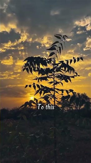 Discover the best time of day