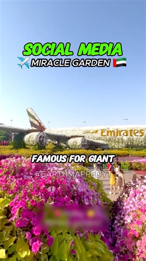 They Made An Airplane Out Of Plants😱