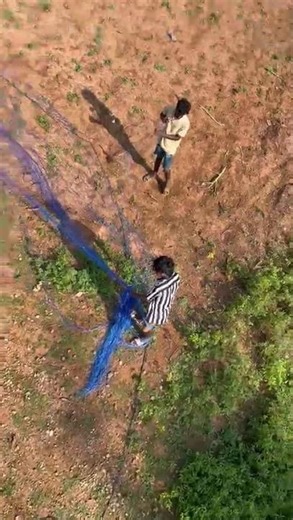 16 feet kite #jaffna #thondaimanaru #kiteflying #trending #16feet #love #shortsfeed