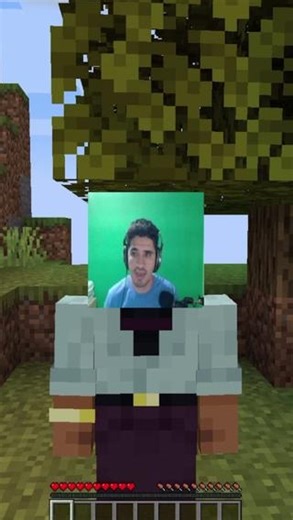 CurseForge on Instagram: "this dude made a mod that lets you display your live webcam feed in Minecraft 🤯"