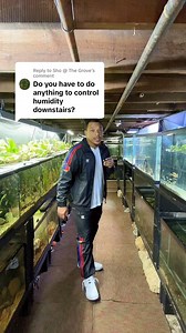 How I handle humidity in my basement. #fish #aquariums #aquariumfish #aquariumhobby #aquarium | Boss Aquatics