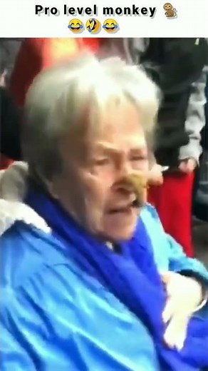Monkey throws poop at Grandma's face 💩