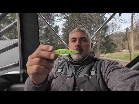 Lake Ontario Brown Trout Fishing Report | March 15th | Monroe County