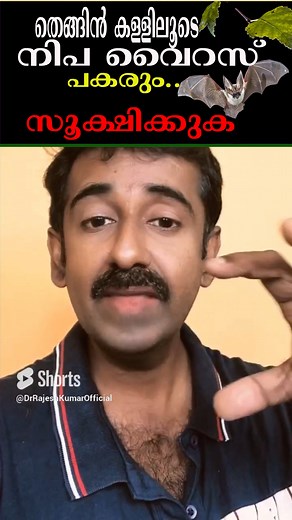 തെങ്ങിൻ കള്ളിലൂടെ നിപ വൈറസ് പകരും.. സൂക്ഷിക്കുക | Dr.Rajesh Kumar Homeopathic Physician
