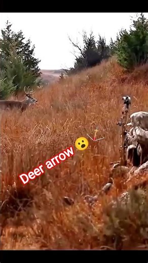 “A unique moment of hunting a whitetail deer captured on camera!” 🦌#deer #wildlife #huntinglife