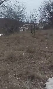 Ukraine Force Destroying A Russian Tank