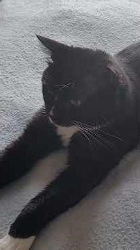 It's Not What You Think (short)