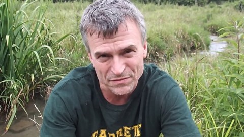 What happens when you get too close to a snapping turtle – "Fast and powerful"