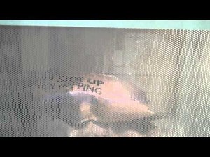 popcorn popping in a microwave