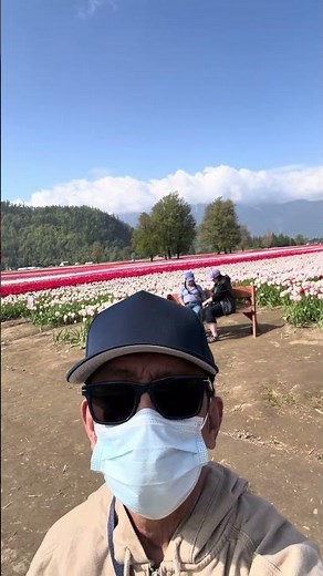 The Harrison Tulip Festival at Onos Farms (5039 Lougheed Hwy, Agassiz).