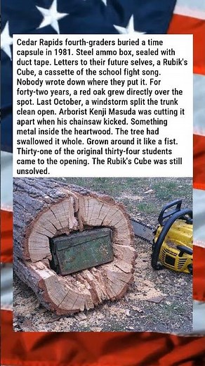 TOWN'S TIME CAPSULE FOUND INSIDE TREE THAT GREW AROUND IT 🌳📦😮