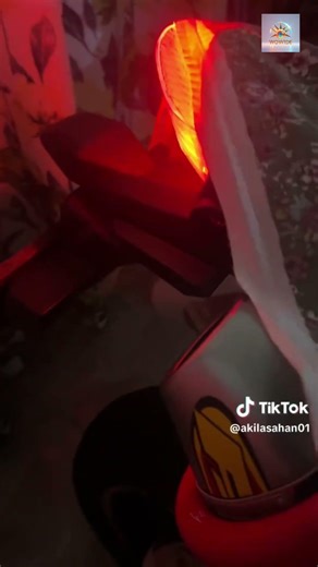 Loud, Deep & Aggressive Bike Silencer Sound🔥 #wowide #srilanka #automobile #supermoto #crf250cc