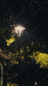 Vertical screen. Night park background shines a night lantern illuminating a city park. Lamppost with a lamp that shines at night. It's raining and the night lamp is shining