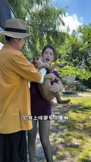 Husband brought home a naughty dog #shortsvideo