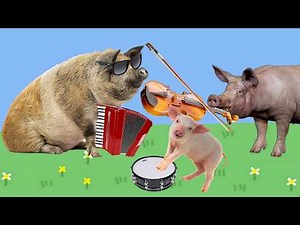 Real life Peppa Pig Parody Episode #16
