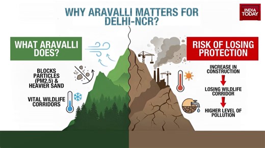Special report: Supreme Court's new '100-meter' definition puts 90% of Aravalli Range at risk
