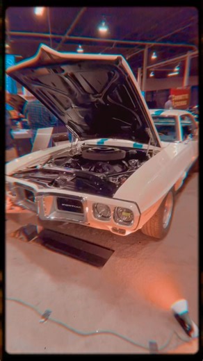 Phenomenal Firebird, 1969 Pontiac Trans Am #firebird