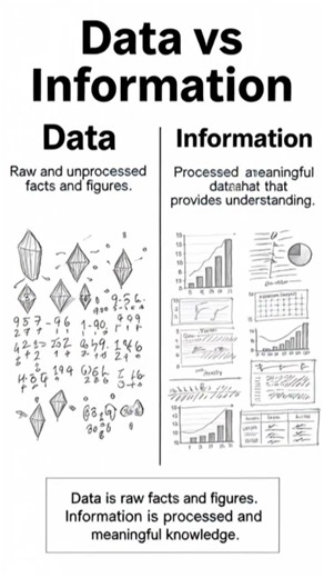 Data vs Information — You've Been Wrong This Whole Time! 📊 #Shorts
