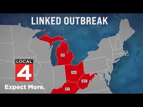 Local 4 News at 12 -- July 15, 2026
