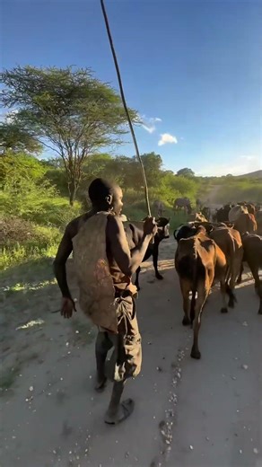 “From Hunters to Hustlers: The Rise of the Java People”