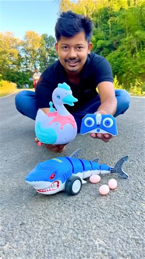 Remote control Shark 🦈