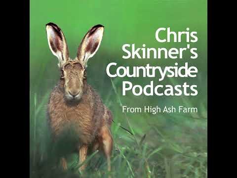 Episode 2.36 - Hawkbit Bites and Tree Tombs