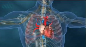 64K views · 1.3K reactions |  Merci à la Mauritius Broadcasting Corporation pour ce reportage consacré à l’installation d’un défibrillateur sur notre station-service Shell Floréal. 欄 Avec notre partenaire santé et bien-être Transphorm Pharmacy, nous sommes convaincus que cet appareil mis à la disposition du public dans un endroit aussi stratégique que Shell Floréal sauvera des vies en cas d’arrêt cardiaque. #VivoEnergyMtius #Shell | Vivo Energy Mauritius | Facebook