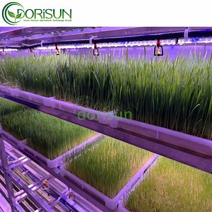 [Hot Item] Vertical Greenhouse Plant Grow Tray System Shipping Hydroponics Container Indoor Farm