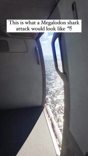 This is what a megalodon shark attack would look like 🙊🤔 #dubai #foryou #fyp