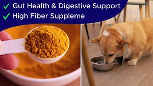 Pumpkin Powder for Dogs - 8oz Powdered Supplement High Fiber for Dogs Stool Softener - Treat Diarrhea, Constipation, Upset Stomach, Food Sensitivity - Improve Digestion - PET_Supplies