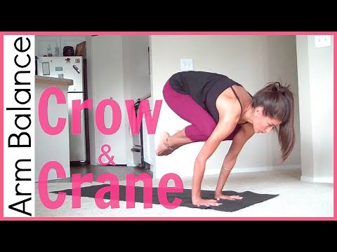 How to Crow Pose & Crane Pose | Arm Balance