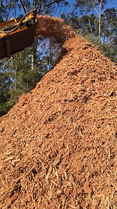 On the grind #mulching #warragul #drouin #sustainability | Drouin Tree Services