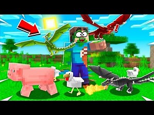 Training NEW BABY Minecraft DRAGONS!