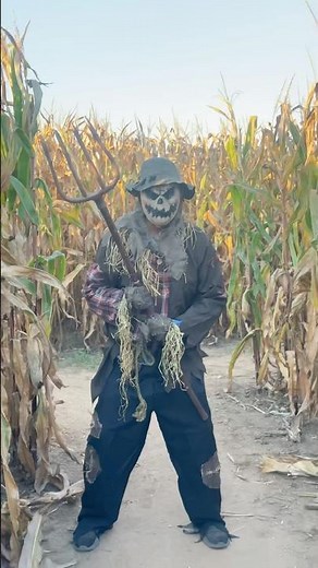 This Scarecrow is following me... (he's alive)
