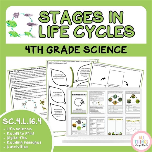 Stages in Life Cycle SC.4.L.16.4 4th Grade Life Science Activity & Answer Key - Etsy