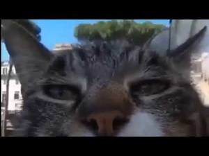 Best Google earth Memes V1